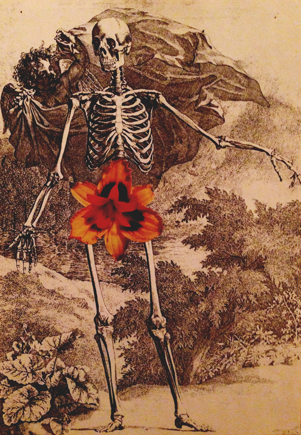 John Massey, collage on paper, 10" by 8". Cover of Flower, Feb 1993.