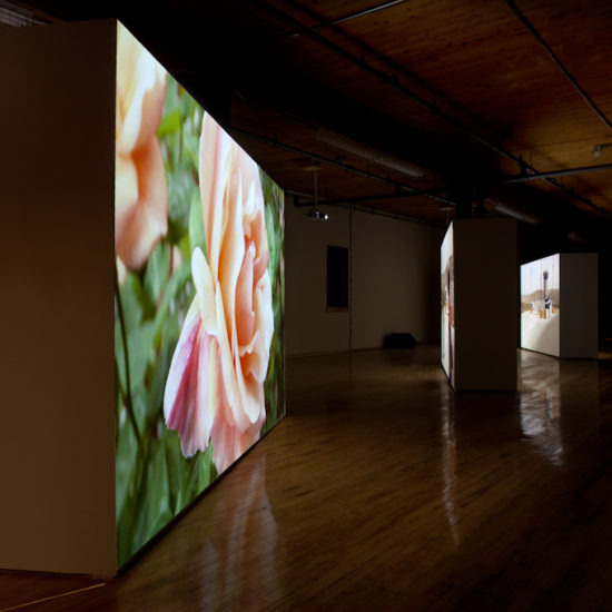 Road Movie (installation view). Courtesy of the artists and NFB.