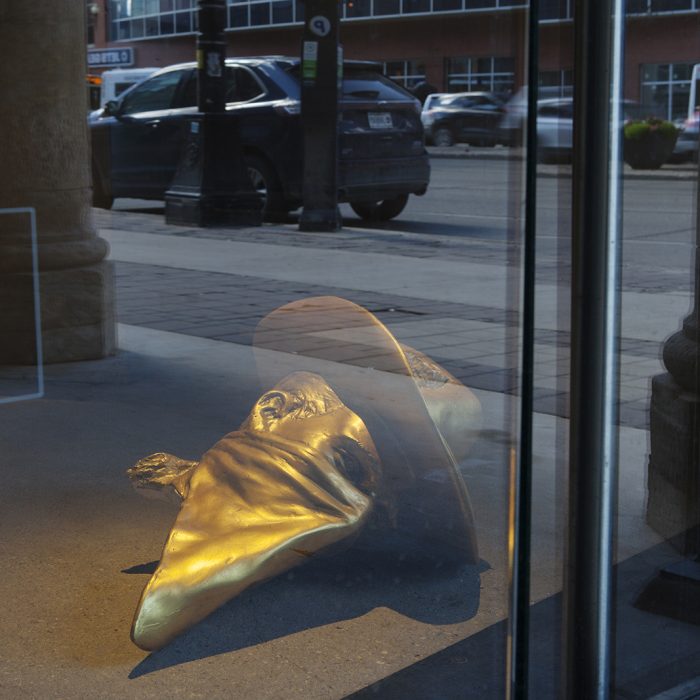The head of a golden cowboy statue lying on the ground. We look at the sculpture through glass doors.