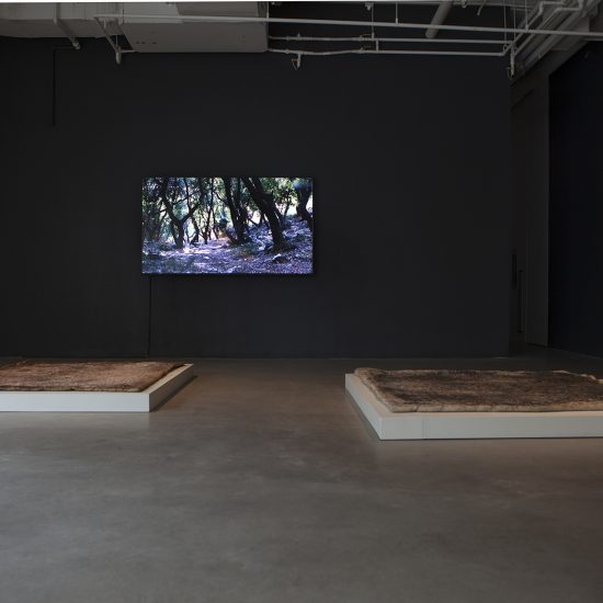 Gallery 2, a tv on the back wall a forest is on the screen. 2 mats on short plinths are placed in front of the screen