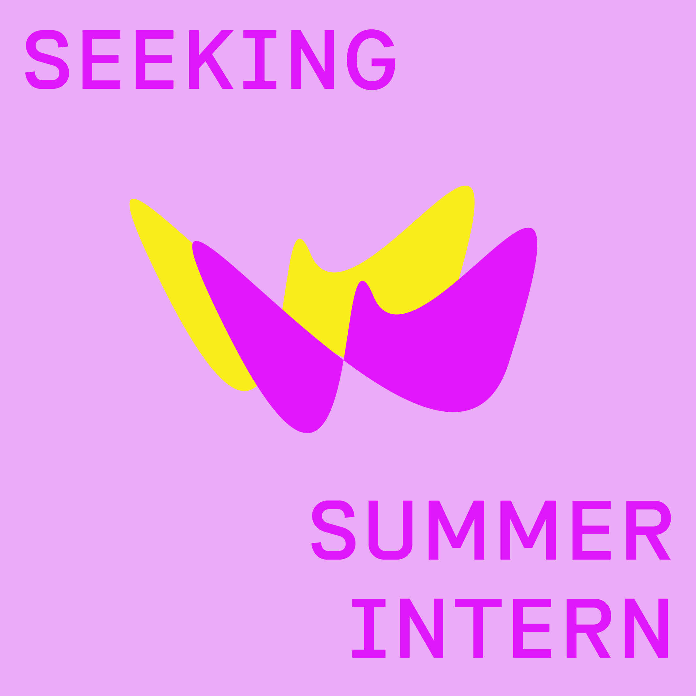 Summer Intern 2025 call