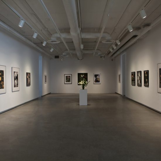 Interior gallery 1, a vase of white roses stands on plinth in the centre of the room. Large framed prints of flowers are hung on all 3 walls