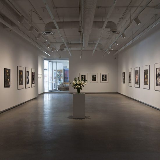 Interior gallery 1, a vase of white roses stands on plinth in the centre of the room. Large framed prints of flowers are hung on all 3 walls