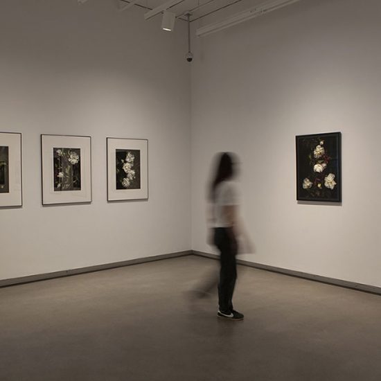 Interior gallery 1, a woman stands in front of large framed prints of flowers are hung on 2 walls