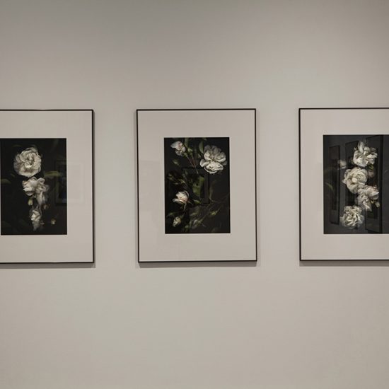 Interior gallery 1, 3 large prints of flowers with white mats hang on the wall