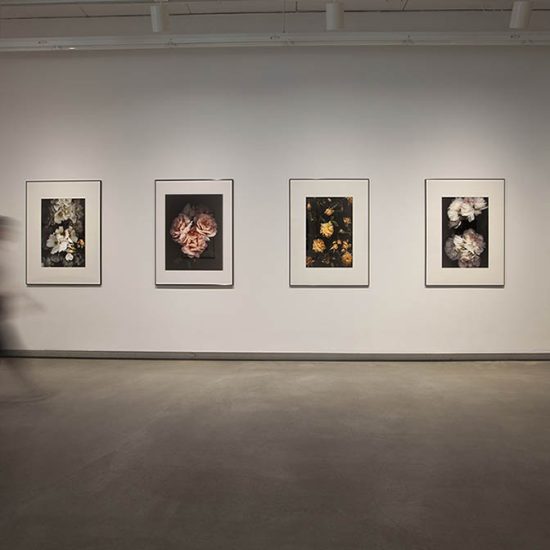 Interior gallery 1, a woman walks past 6 large framed prints of flowers
