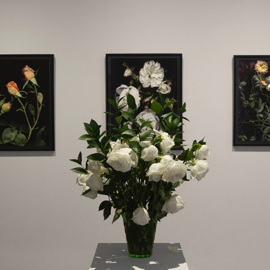 A bouquet of white roses sit on a plinth in front of 3 framed prints of flowers in black frames