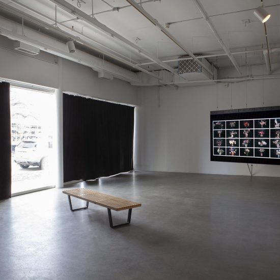 Interior gallery 2, a bench sits across from a large hanging screen, on it a video of flower arranging plays